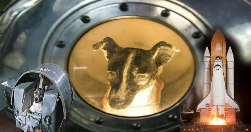 Laika Dog space mission by sputnik 2 spacecraft news in hindi